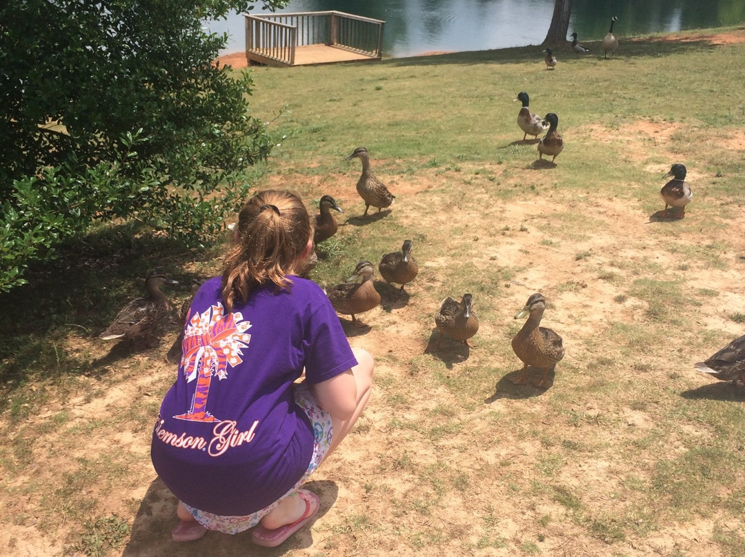 Dublin Memorial Park-Madison必去景点