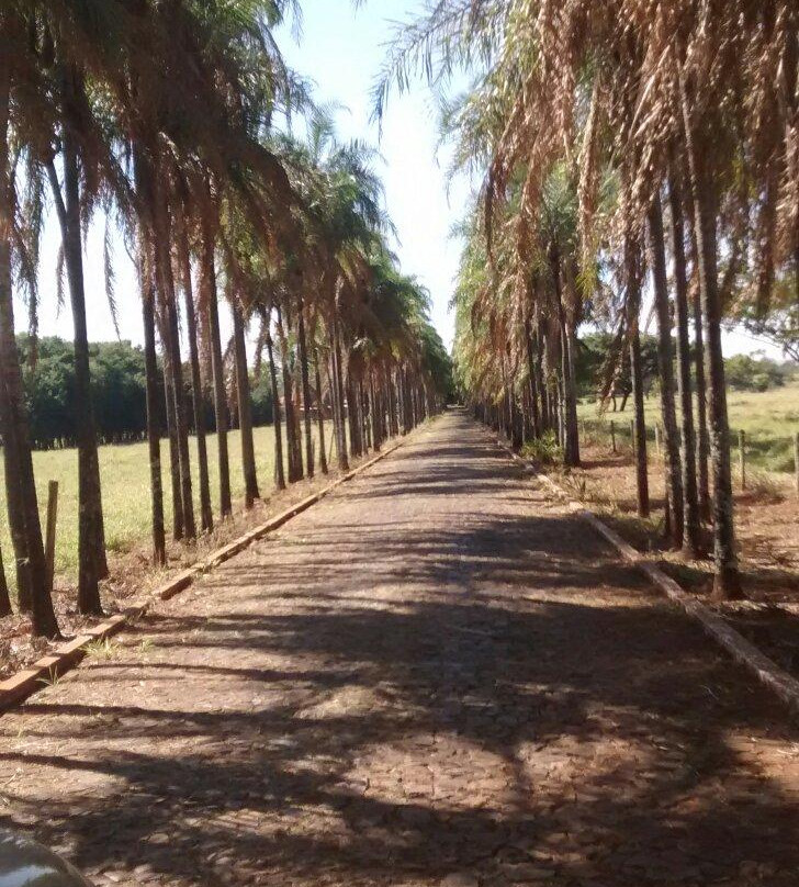 Paineiras Hotel Fazenda主图