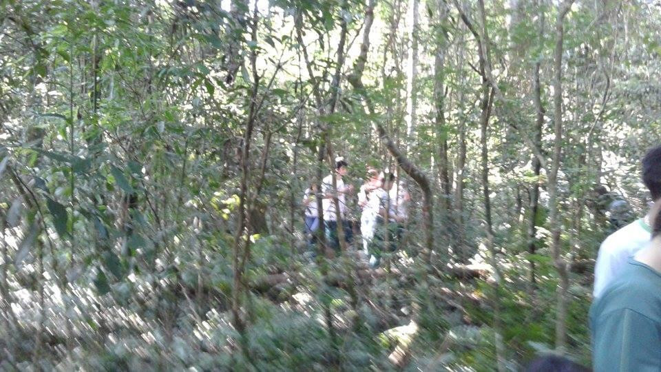 Parque Estadual de São Camilo-Palotina必去景点