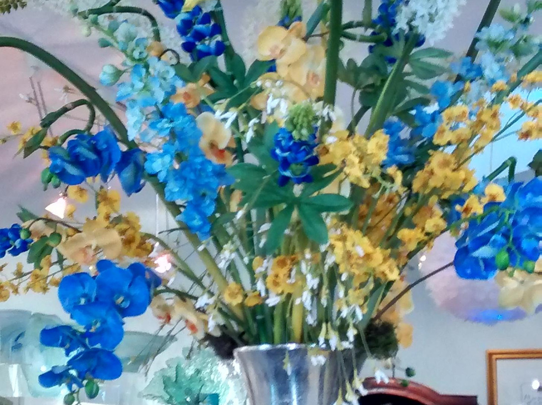 Modernism Museum Shoppe-Mount Dora必去景点