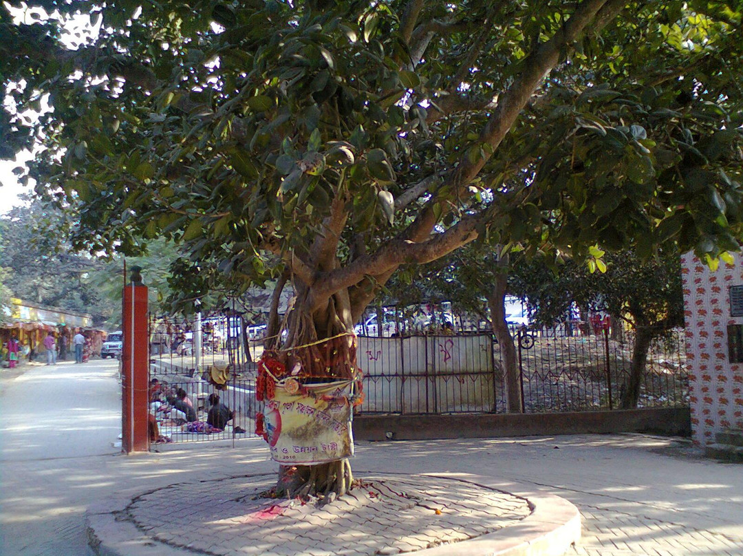 The Kankalitala Temple景点图片