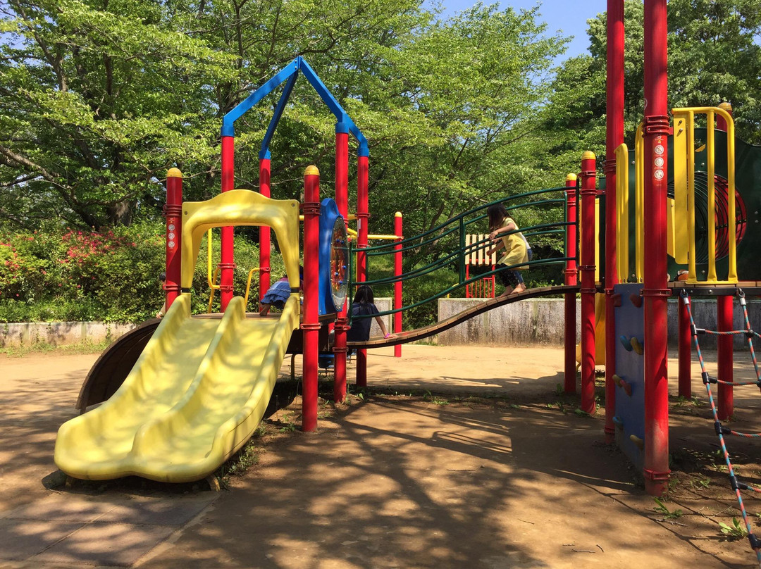 Chiba Inbanuma Park-印西市必去景点