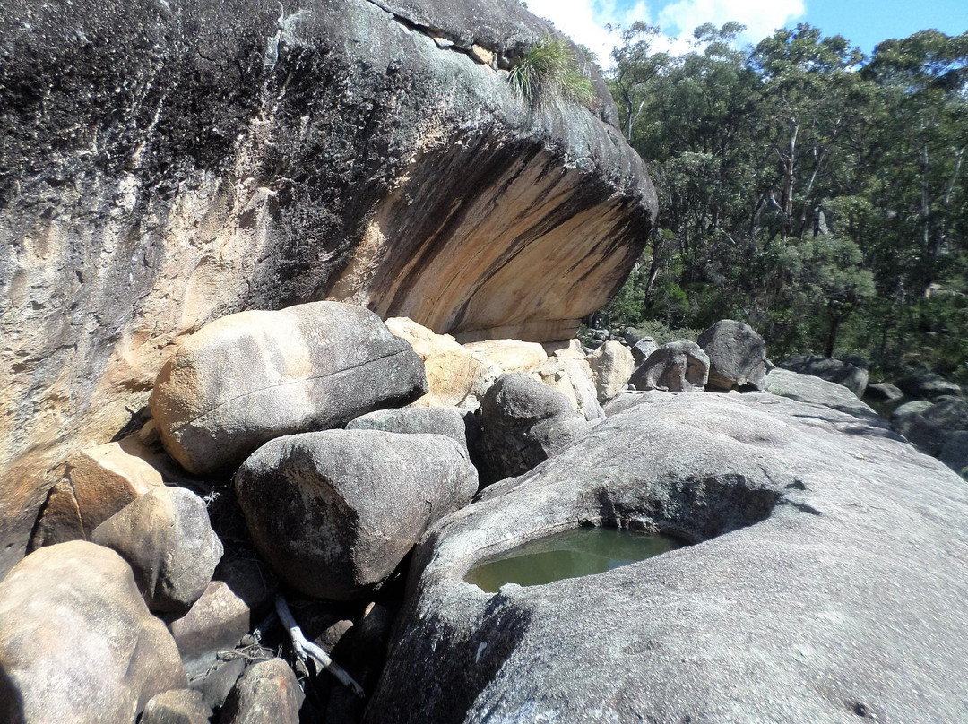 Girraween National Park景点图片