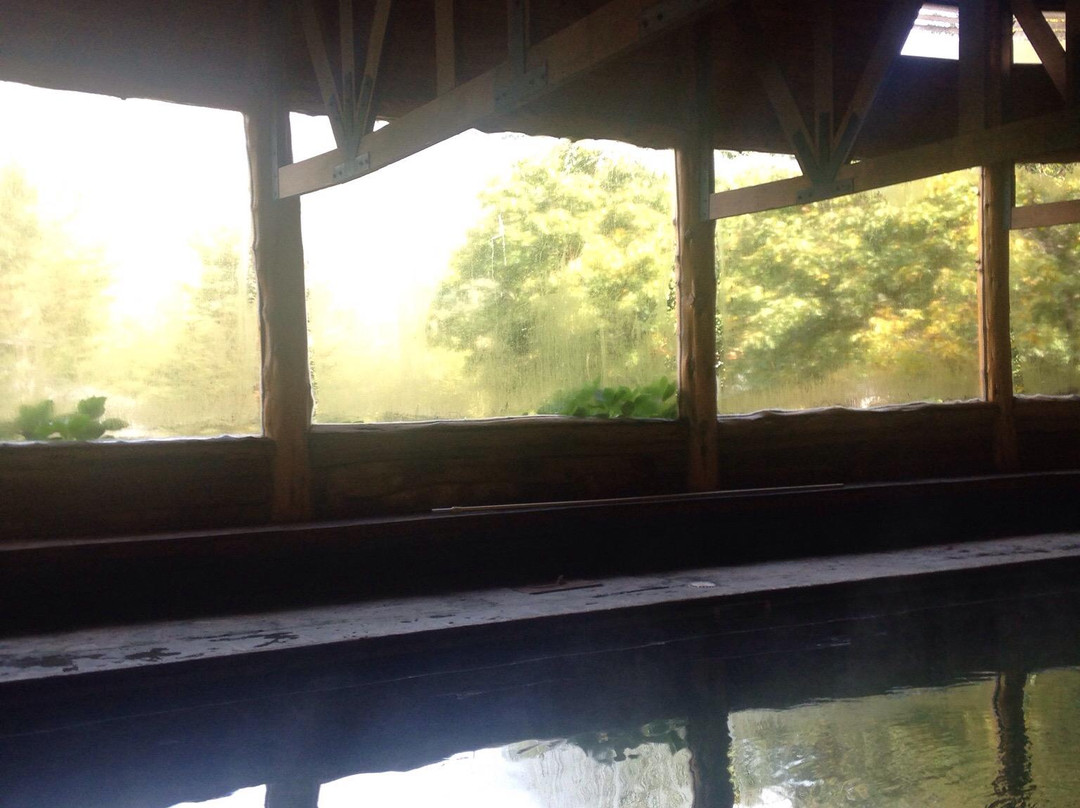 Peumayen Lodge & Termas景点图片