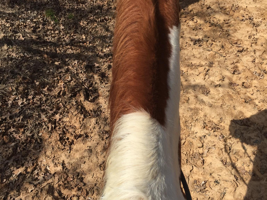 Marshall Creek Ranch-绍斯莱克必去景点