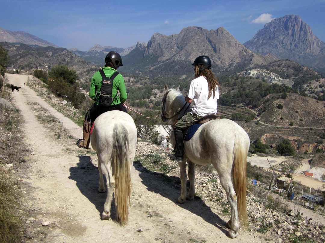 Hoof and Mountain Adventures