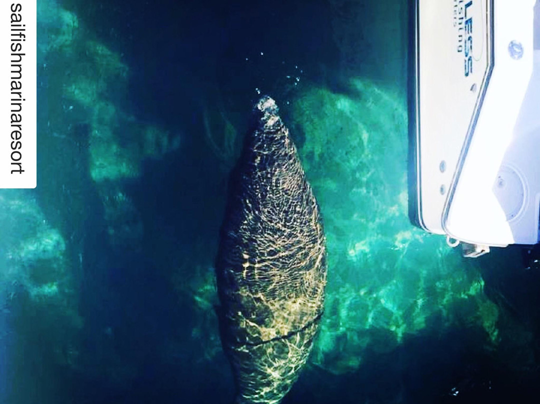 Lawless Sport Fishing Charters-Palm Beach Shores必去景点