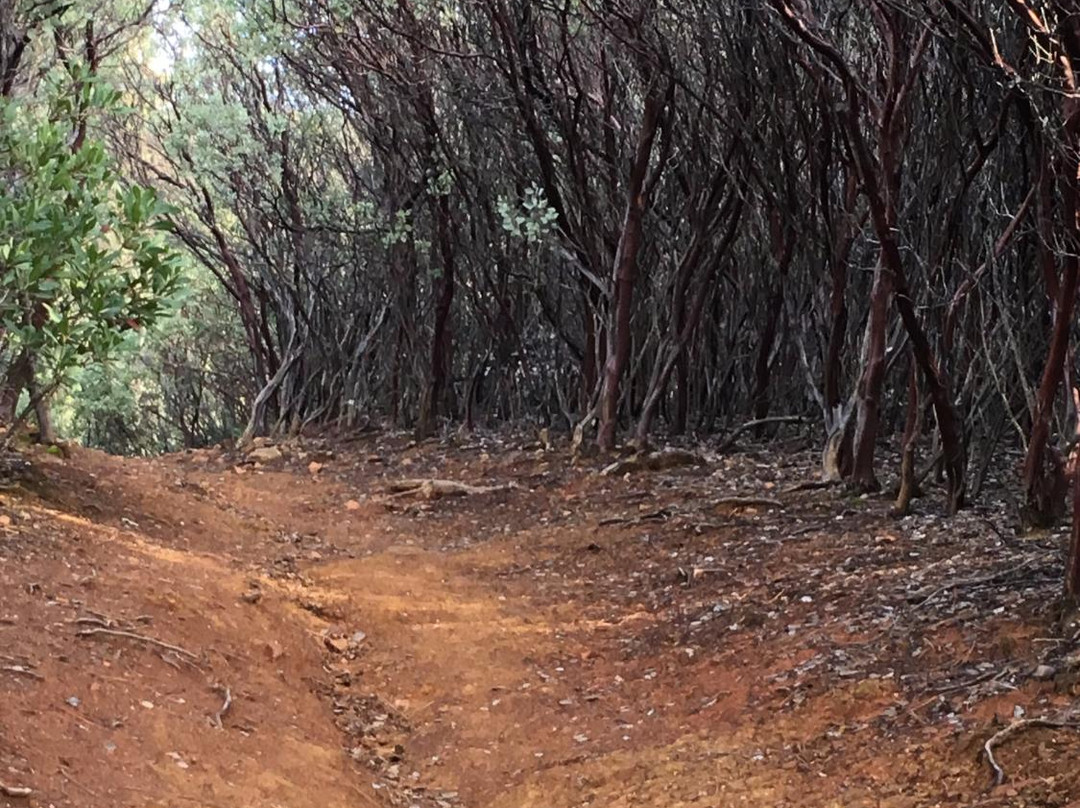 Oak Bottom Water Ditch Trail-Whiskeytown必去景点
