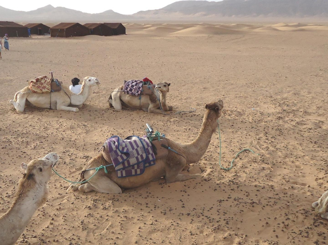 Sahara Desert-Oriental必去景点