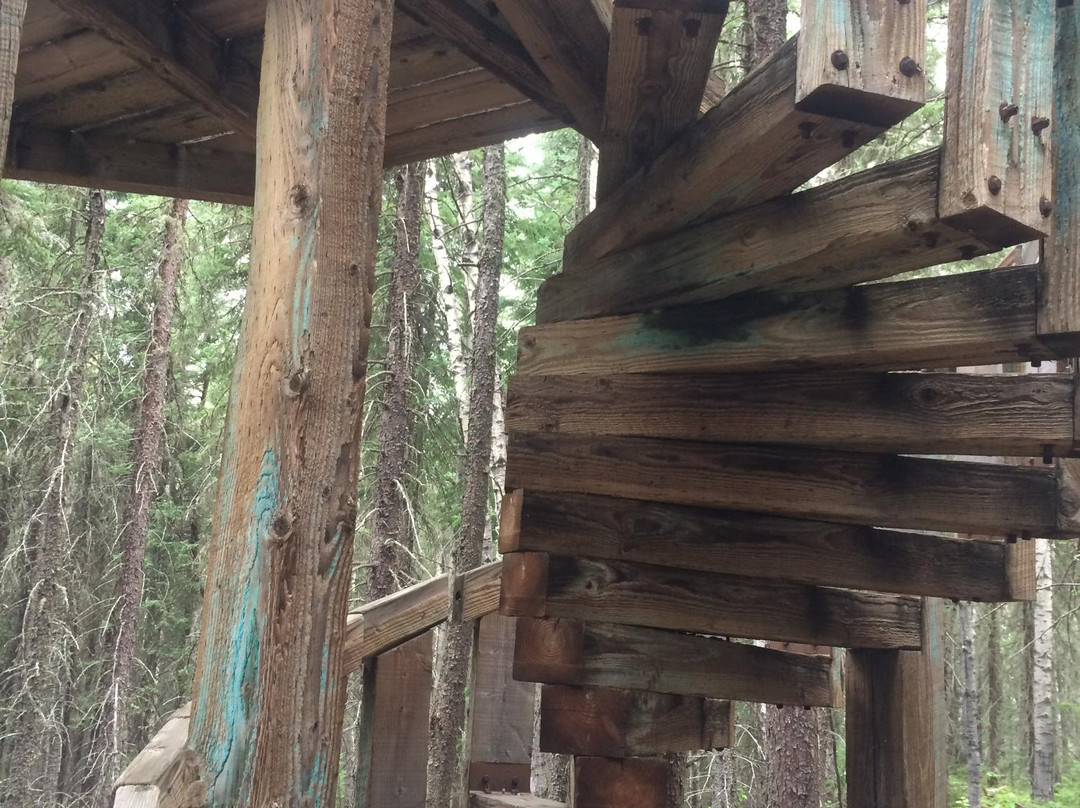 Treeosix Adventure Parks景点图片