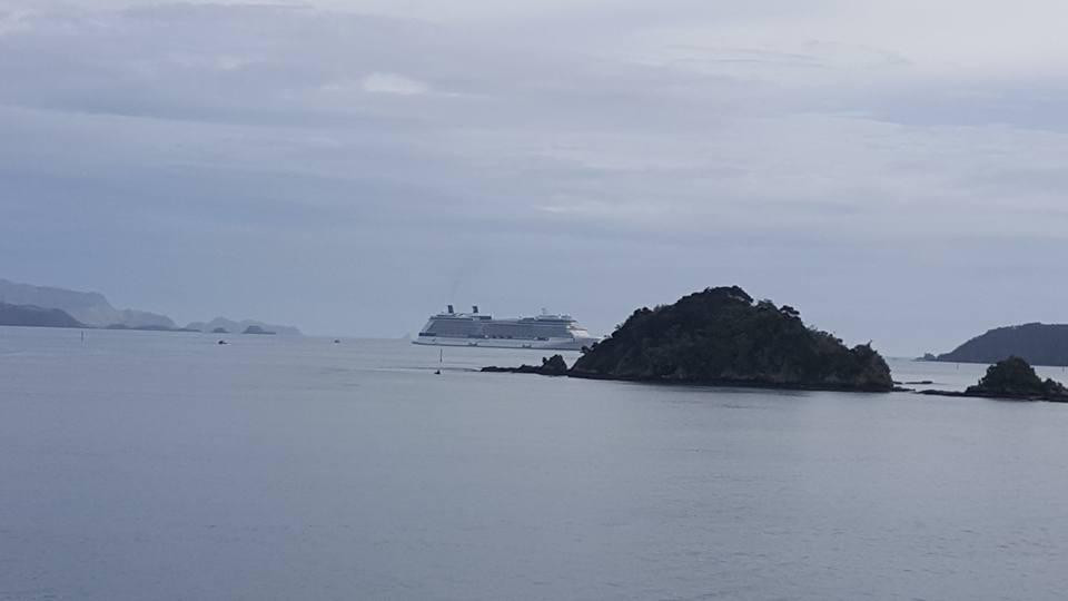 Iwi Tours-派希亚必去景点