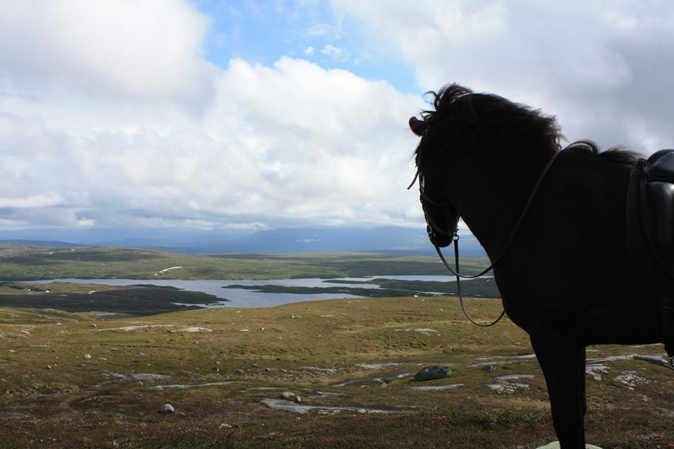 Meraakerfjell Ridesenter景点图片