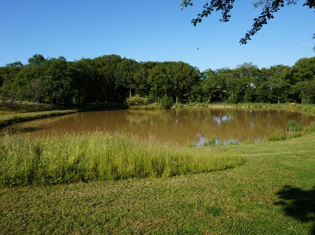 Leworthy Farmhouse主图