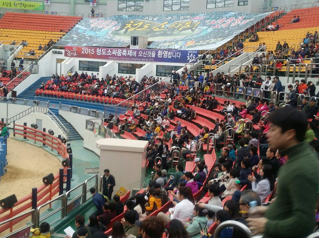 Cheongdo Bullfighting Stadium-清道郡必去景点