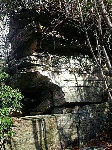 Beech Mountain Adventure Tours景点图片