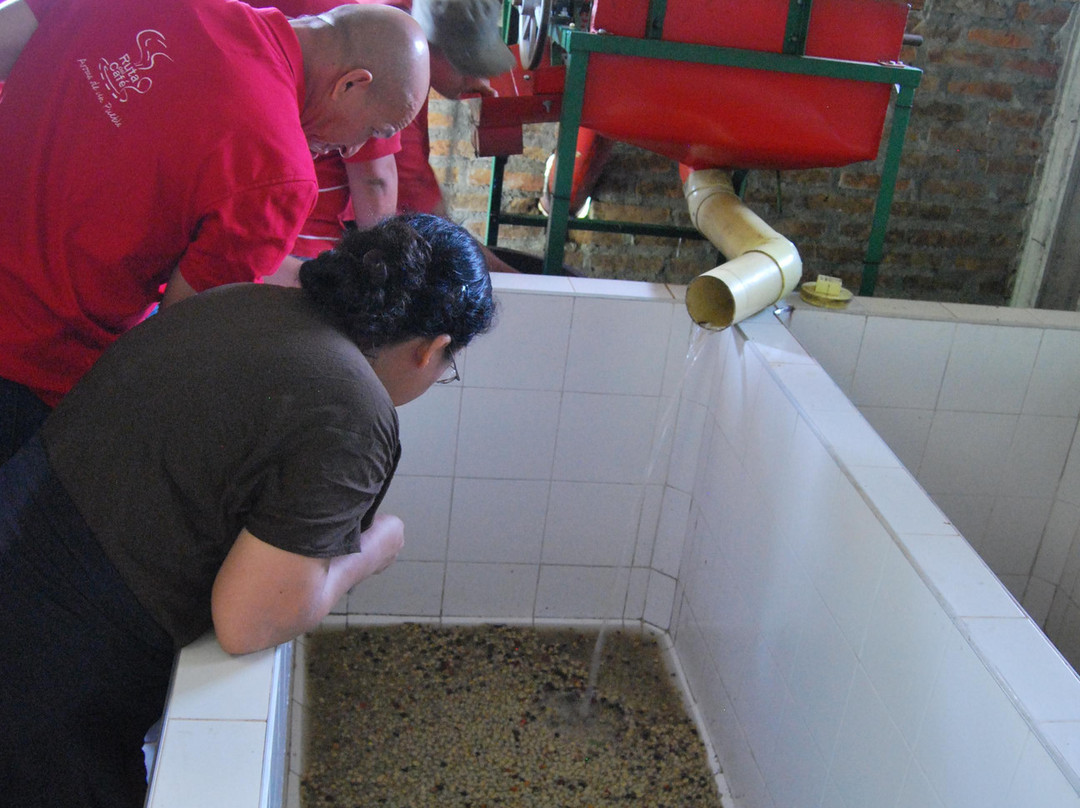 Monte Jazmin-佩雷拉必去景点