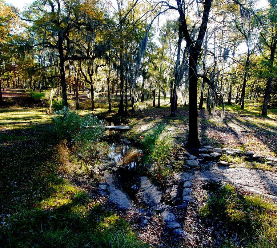 Lake Bistineau State Park景点图片