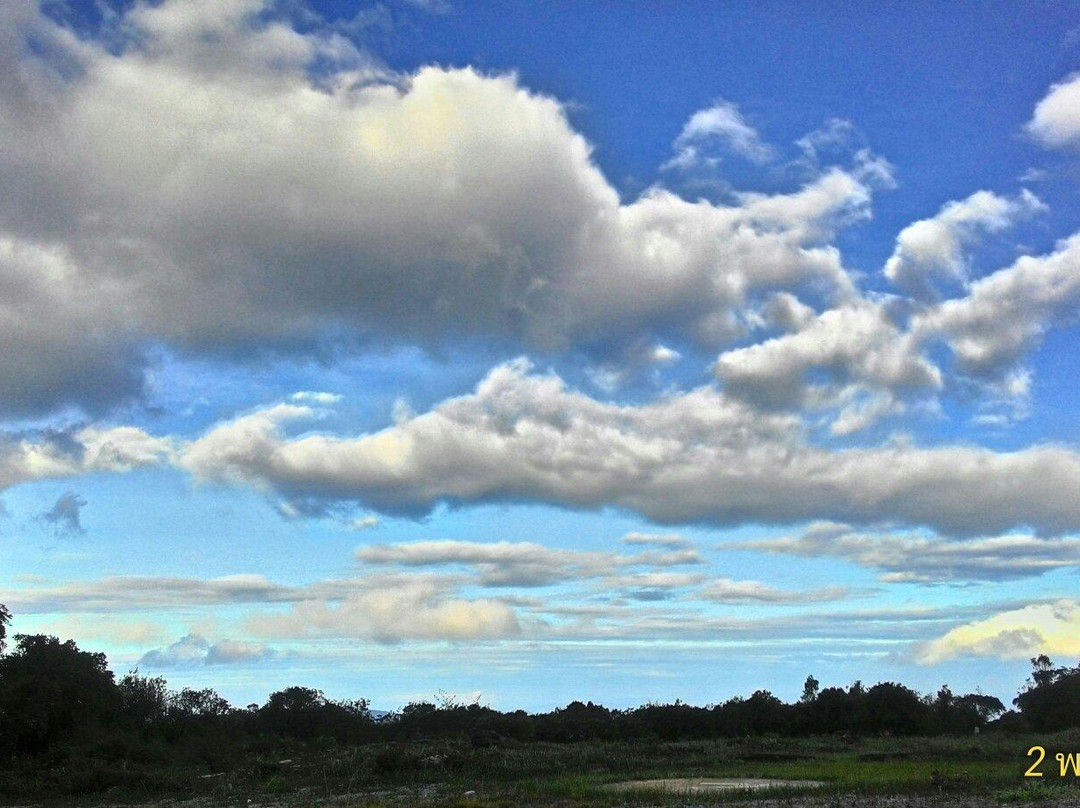 Phu Luang Wildlife Sanctuary-普茹必去景点