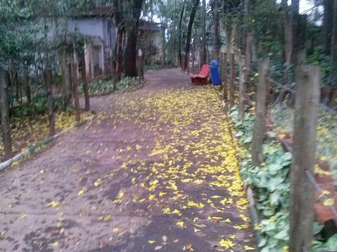 Zoológico de Catanduva-Catanduva必去景点