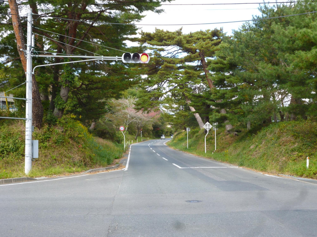 Rikuzenhamakaido Avenue-相马市必去景点