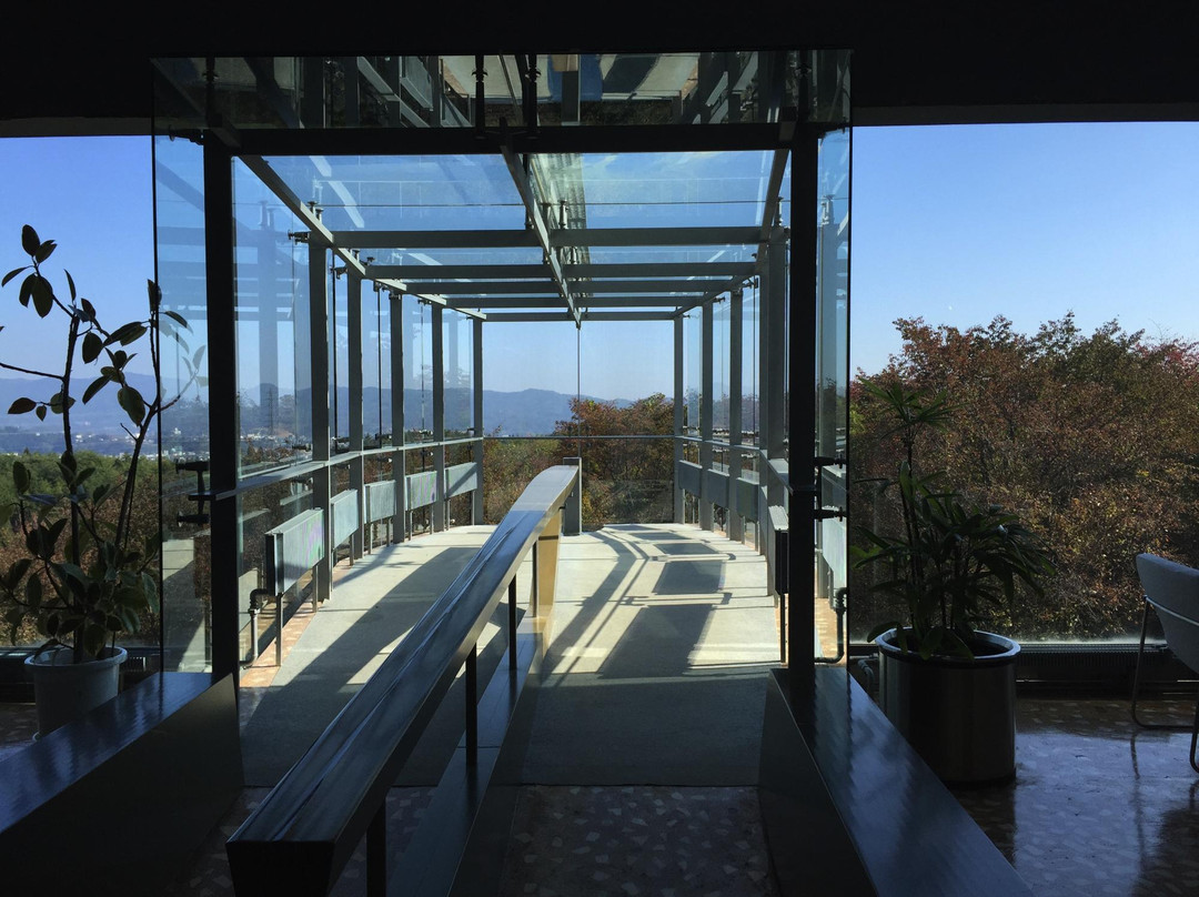 Rias Ark Museum of Art-气仙沼市必去景点