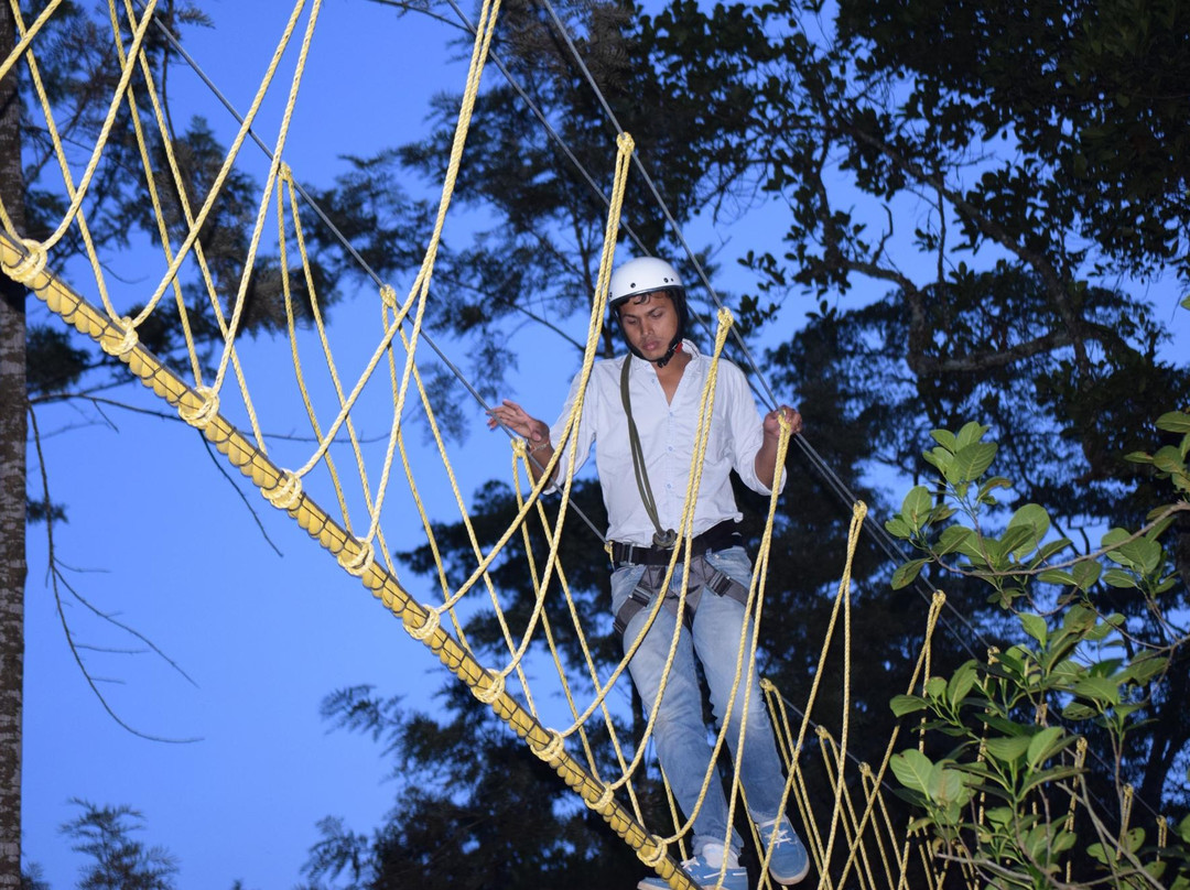 TreeTop Adventure Park景点图片