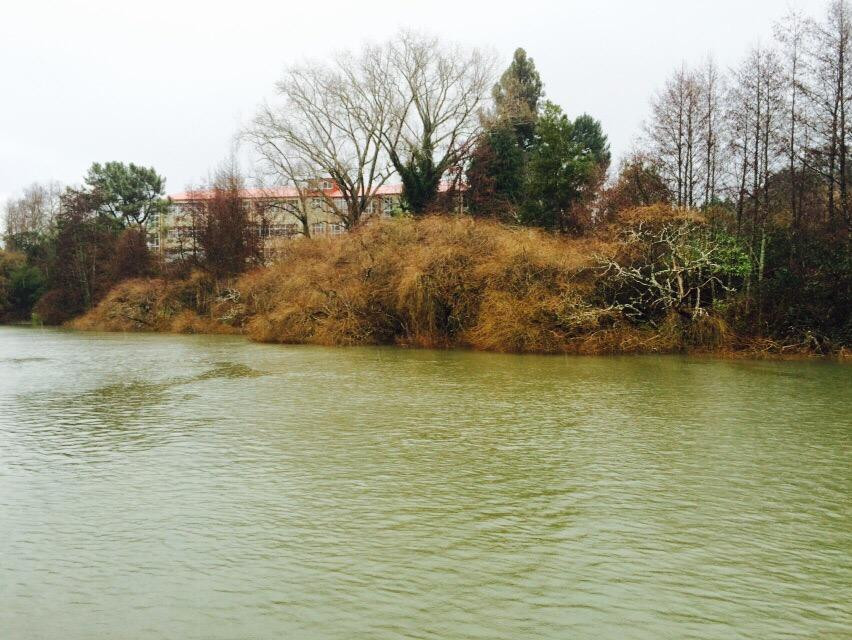 Transporte Fluvial Sustentable-瓦尔迪维亚必去景点