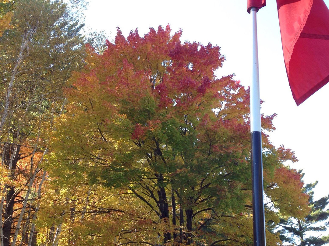 Timberstone Golf Course-Iron Mountain必去景点