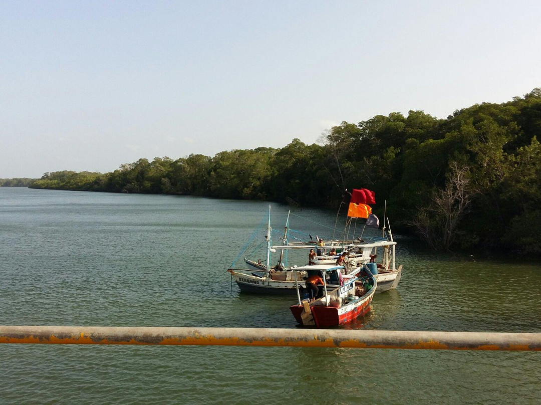Ajuruteua Beach (Campo do Meio)-Braganca必去景点