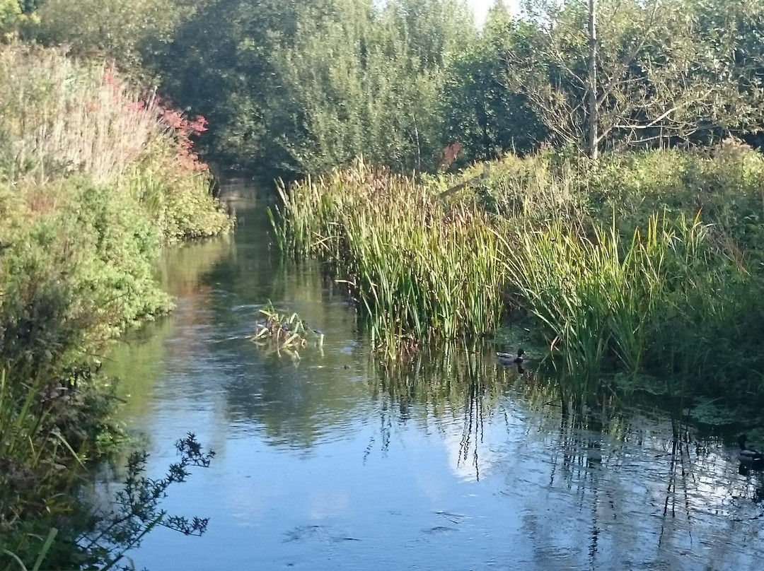 Winnall Moors Nature Reserve景点图片
