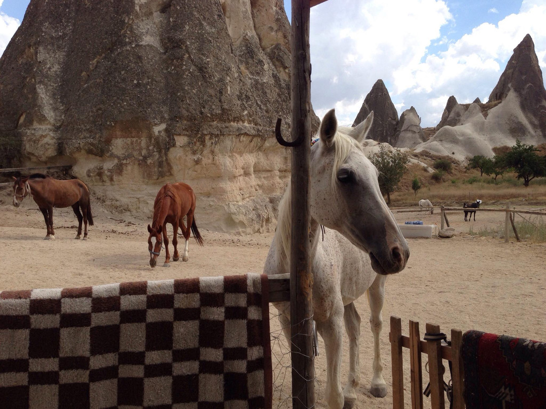 Lucky Horse Ranch-格雷梅必去景点
