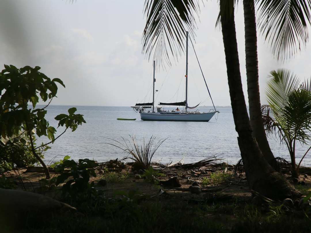 Carpe Diem Sailing and Yoga景点图片