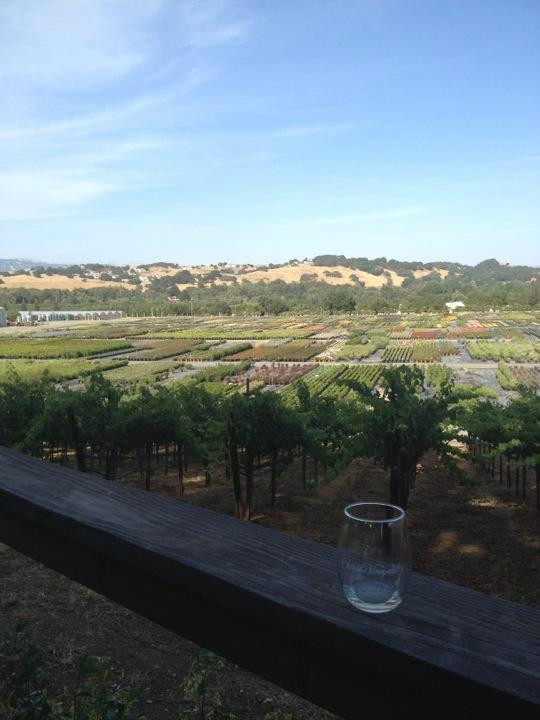 Sarah's Vineyard-吉尔罗伊必去景点