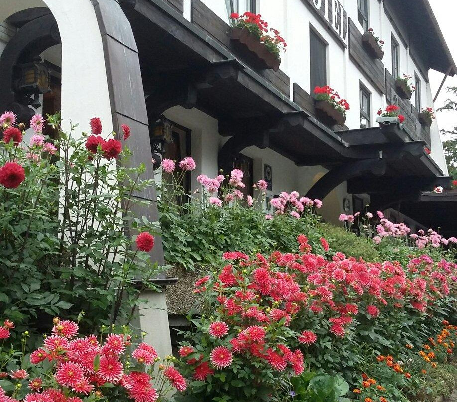 Rodern旅游攻略图片