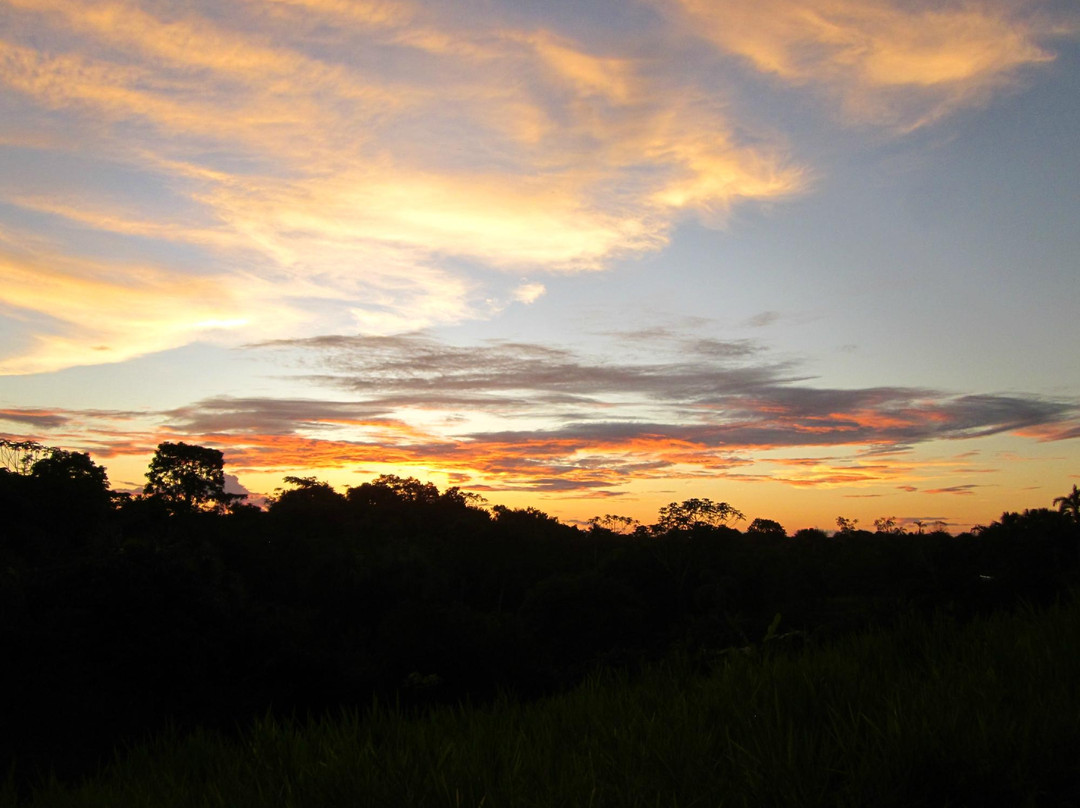 La Chacra Iquitos景点图片