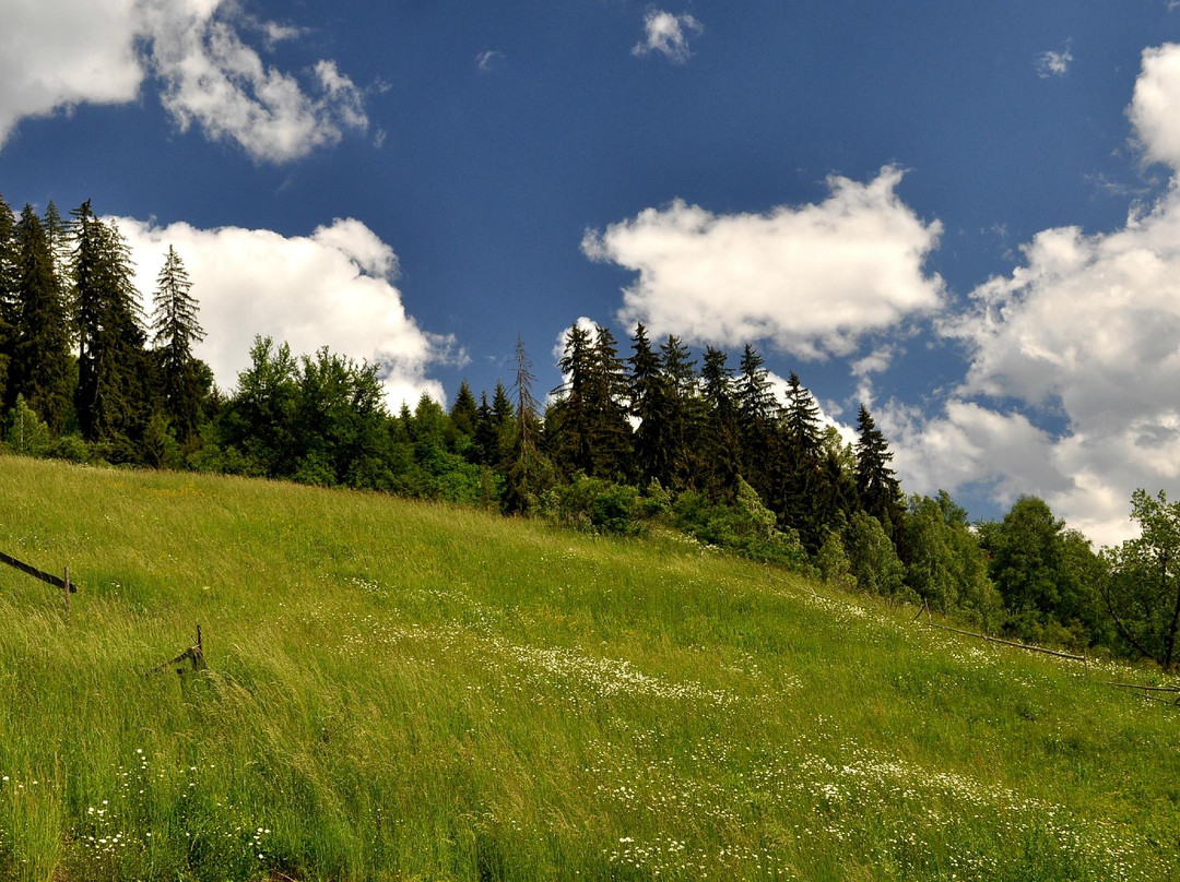 Eco House Family Hotel主图