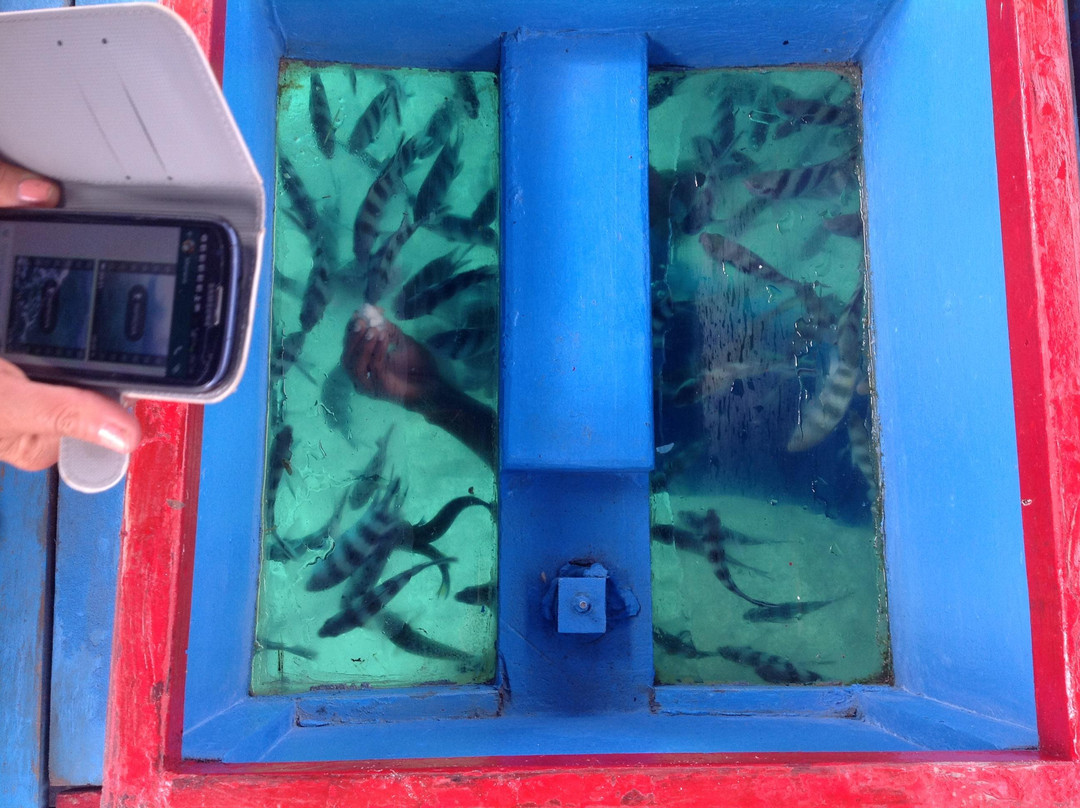 Safari Kenya Watamu-瓦塔木必去景点