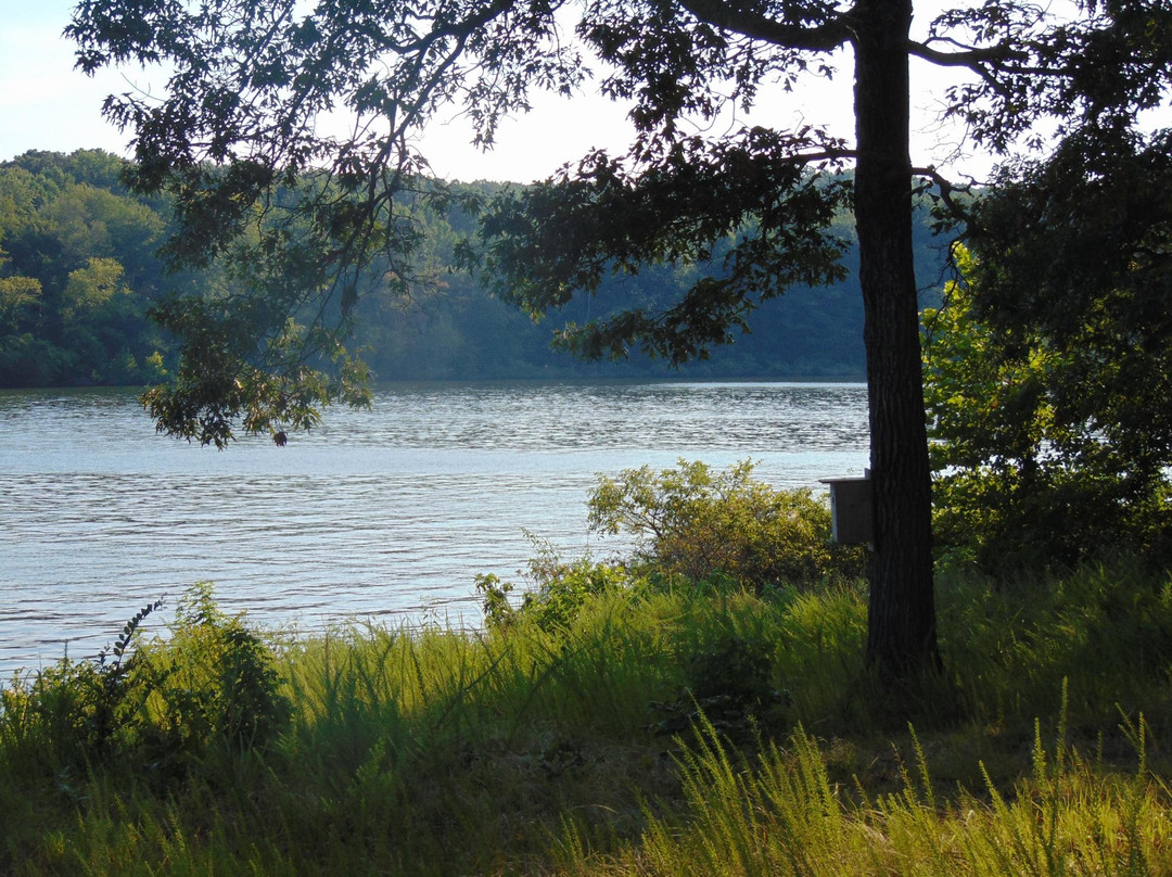 Paris Landing State Park-Buchanan必去景点