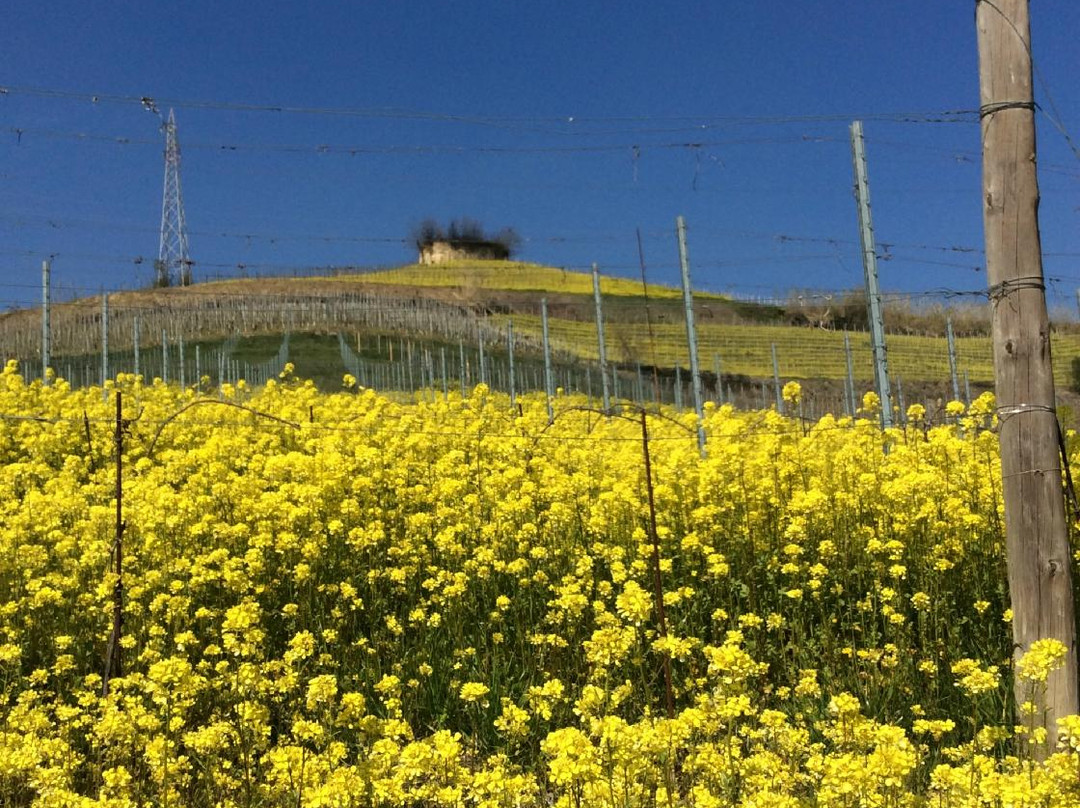 Azienda Agricola Cascina Ca' Rossa景点图片