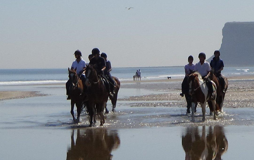 Saltburn Riding School-Saltburn-by-the-Sea必去景点