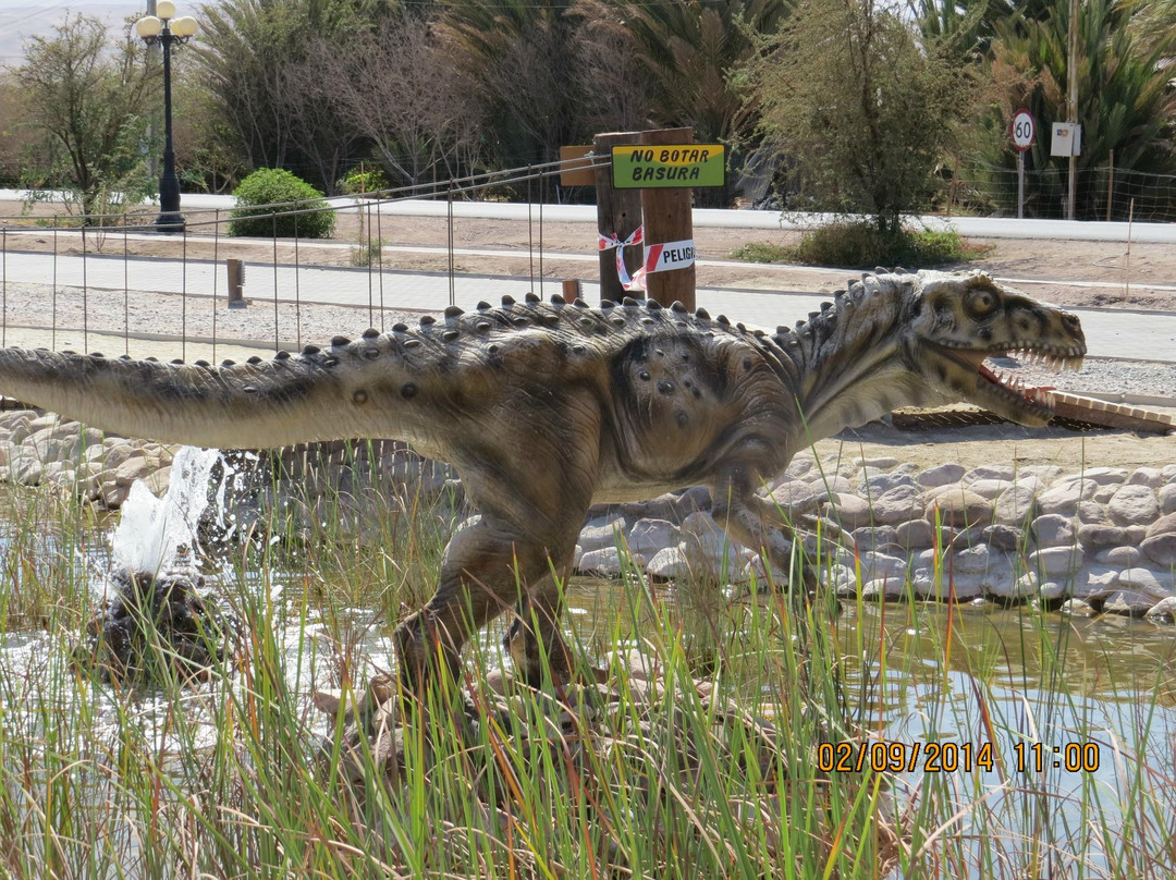 Valle de Los Dinosaurios-Pica必去景点