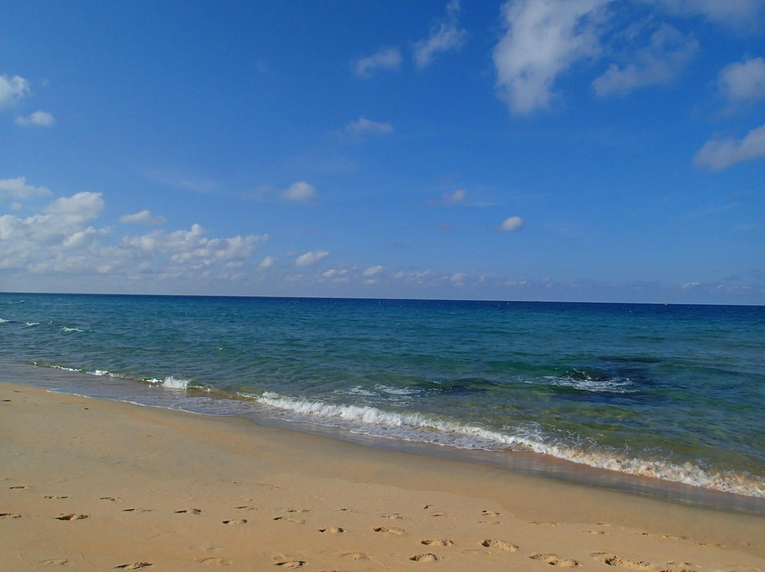 Pantai Teluk Bidara景点图片