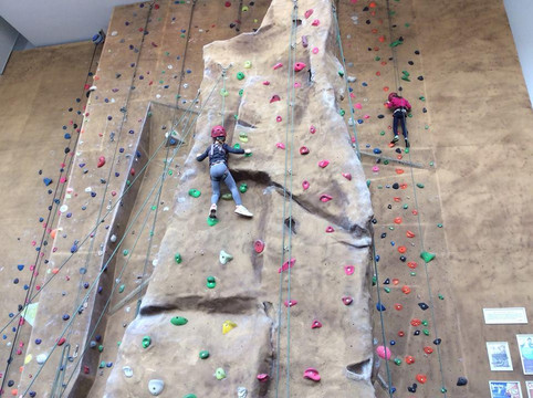 Westminster Lodge Leisure Centre-圣奥尔本斯必去景点