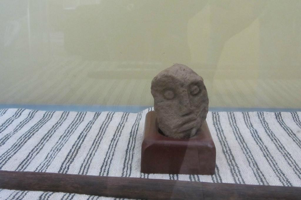 Museo Regional de la Universidad Nacional de San Martin-Moyobamba必去景点