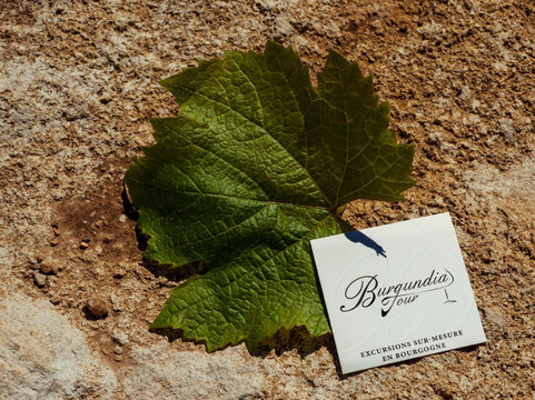 Burgundia Tour-巴黎必去景点