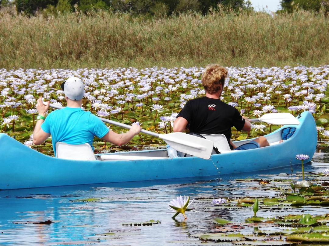 Vilanculos Canoe Safaris景点图片