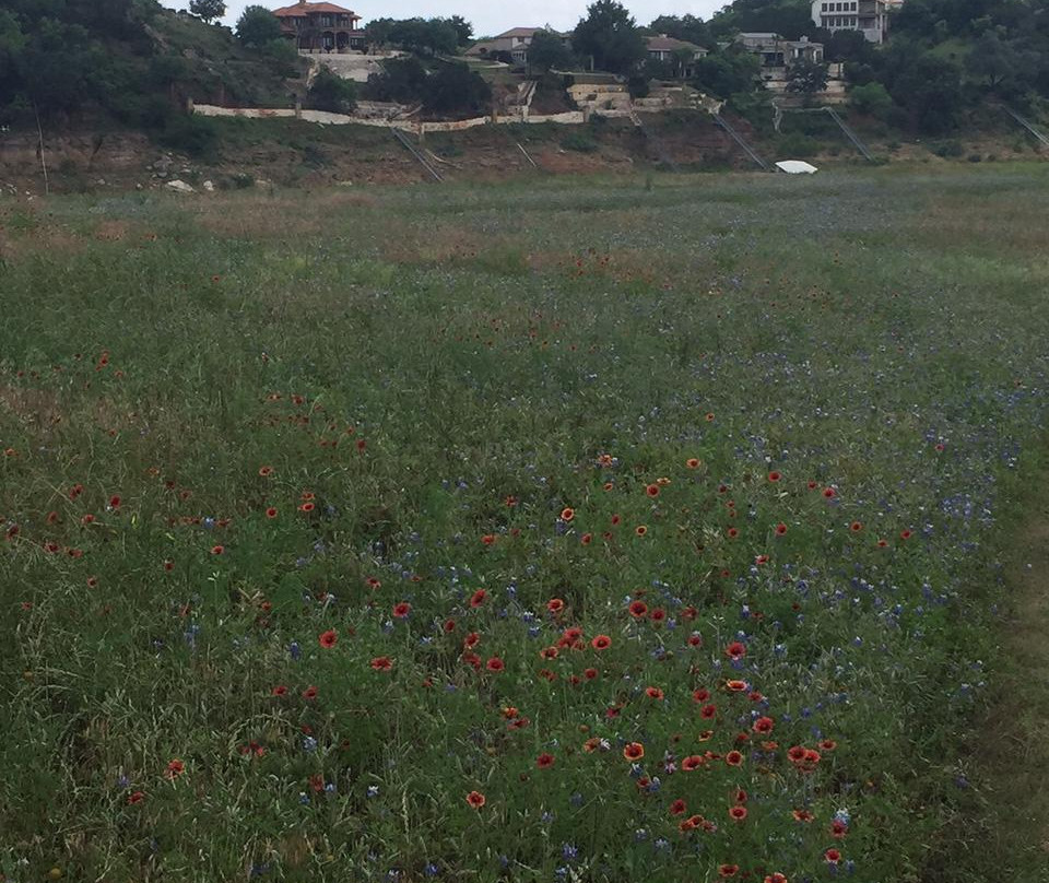 Turkey Bend Recreation Area-Marble Falls必去景点