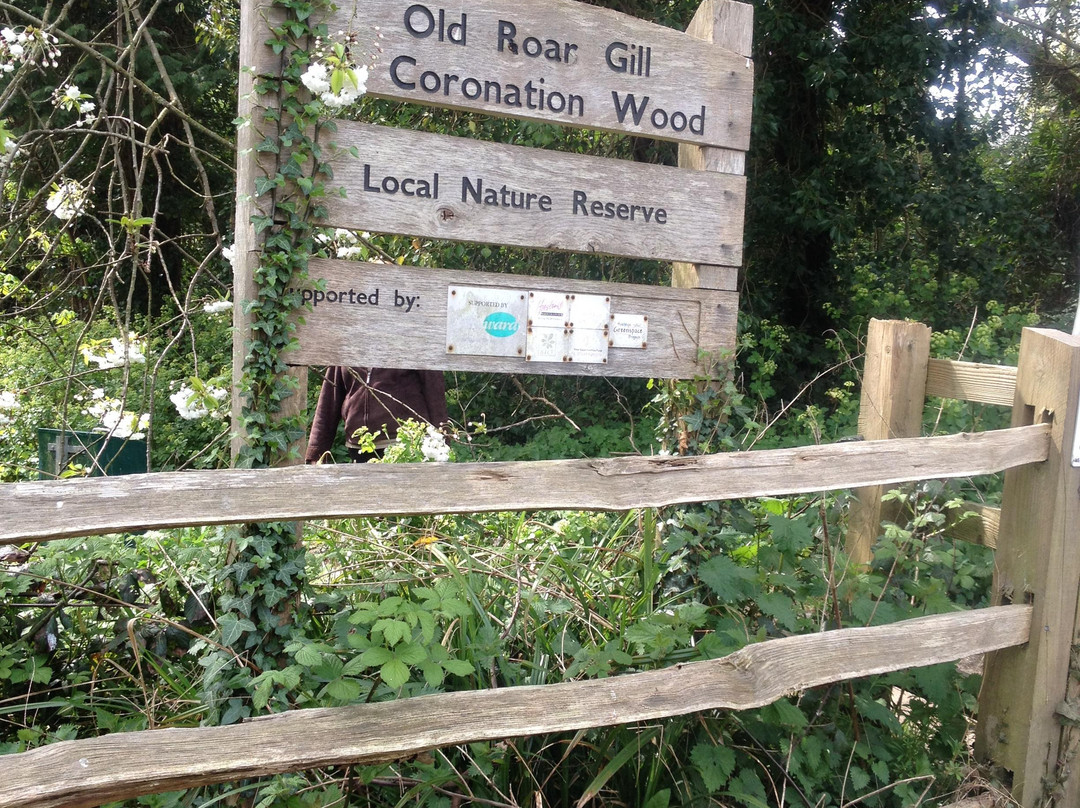 Old Roar Gill-海斯廷斯必去景点