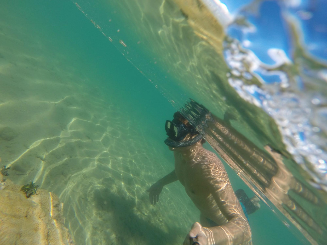 Recife de Corais de Guaratiba-Prado必去景点