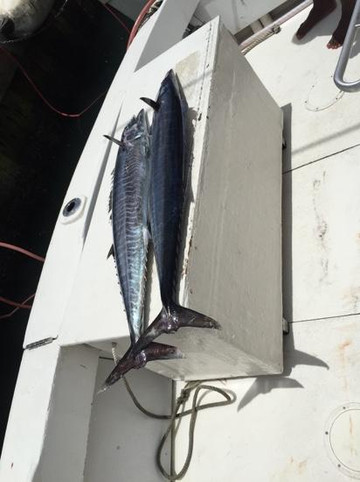 Legacy Fishing Charters-布里奇顿必去景点